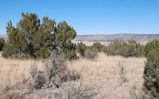 Gorgeous view of the Aubrey Cliffs