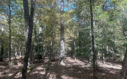 Hardwood Hunting Land W/ Creek near Gurdon, AR for Sale