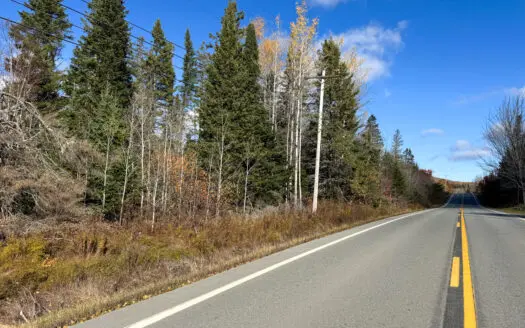 115± Acres with Trout Brook, Power & Paved Road Access