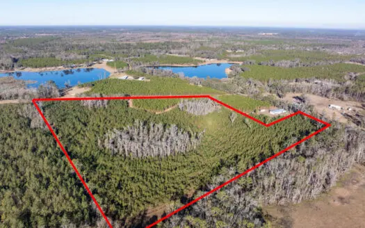 Beautiful 29 Acres For Sale In Live Oak Florida