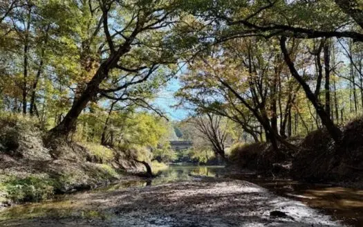 158.8 Acres Creek Frontage Clay County MS
