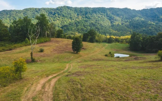 Auction Extravaganza: Secluded 200 Acres in Hawkins Co. TN