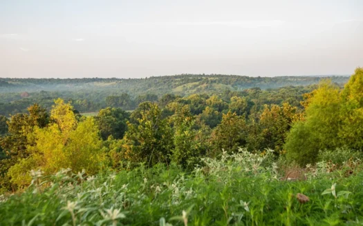 Premier Hunting & Cattle Ranch for Sale Near McAlester OK