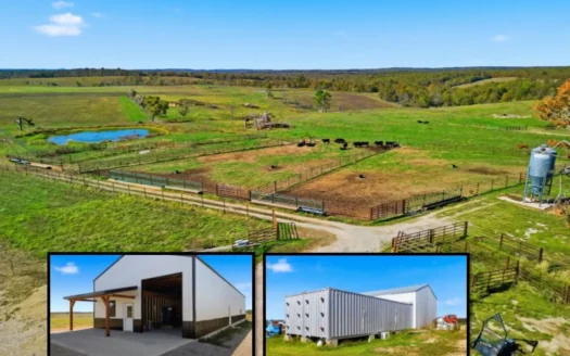 Southern Missouri Ranch for Sale – 243 Acres in Howell County