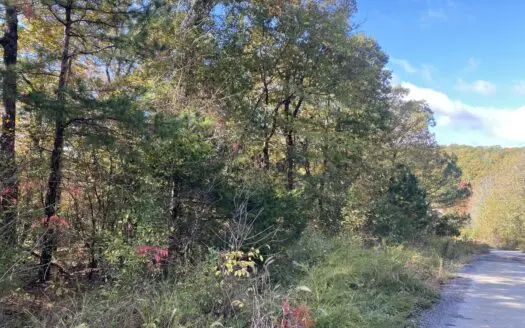 28.6 Acres Unrestricted Land – Just Outside of Mountain!