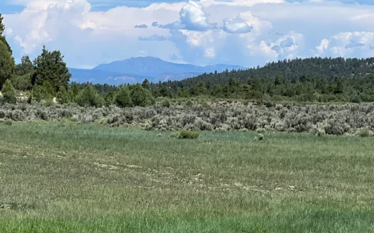 Incredible Elk Hunting Ranch In Chama Valley For Sale