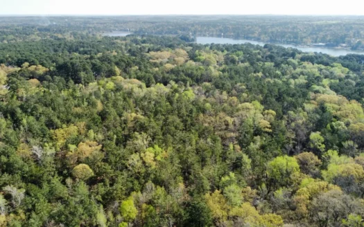 East Texas Land for Sale Lindale Smith County Texas