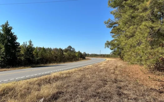 Land For Sale on AR State HWY 138