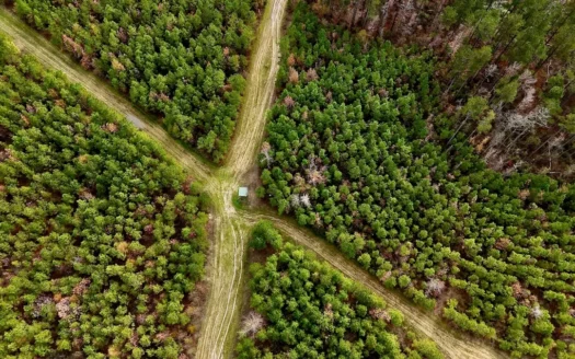 65+/- Acre Hunting Property and Homesite Near Kitterlin Bay