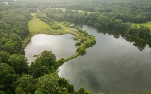 Zachary 78 Acres With Lake in Port Hudson