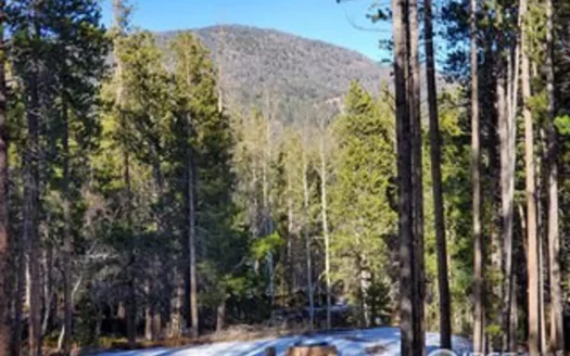 Level Lot in Mountains Close It All!