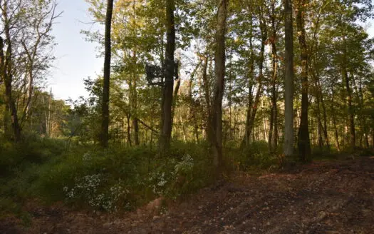 Southern Indiana All Wooded Tract