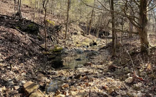 113 Acres of Secluded Land with Ozark Mountain Views