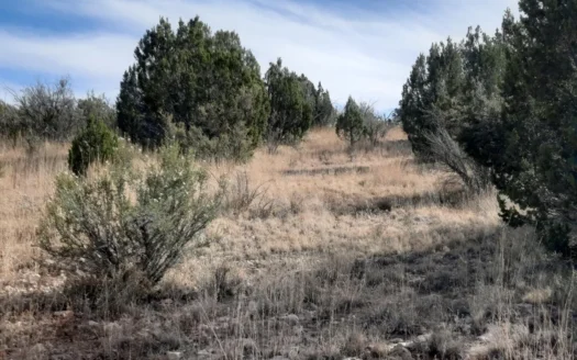 Secluded Northern AZ 2 acre off grid property