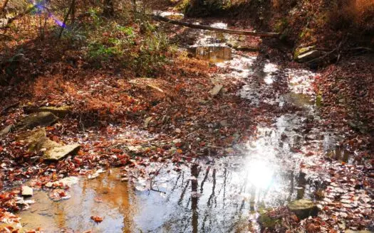 Hunting, Marketable Timber, Building Sites, Woods, Dead-end Road