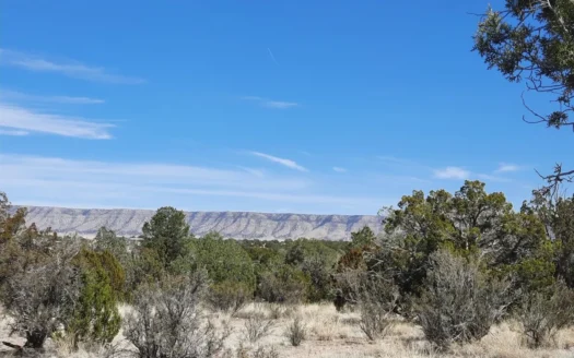Remote Northern AZ off grid property