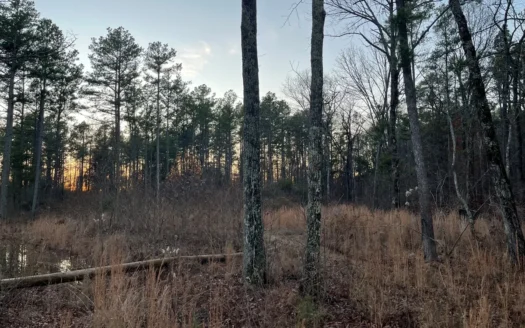 80 Acres for Sale in Van Buren County, Arkansas!