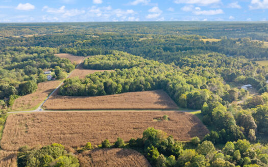 73.57 Acre Allen Co Farm Selling in 8 Tracts w/ Marketable Timber
