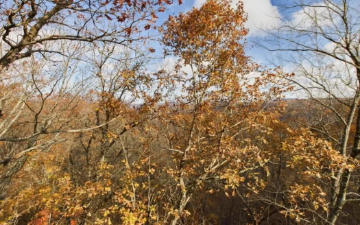 Private 40 Ac Newton County Land For Sale Hunting&Recreation