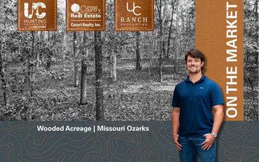 Wooded Acreage Retreat in the Missouri Ozarks | Tecumseh