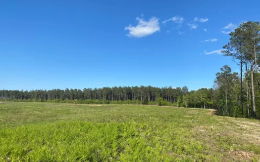 Land For Sale In Tn, 26 Acres+/-, Open Land