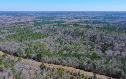 445 Acre Hunting/Timber Tract in Butler County, Alabama