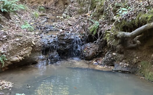 East Texas Hunting/Recreational Tract For Sale