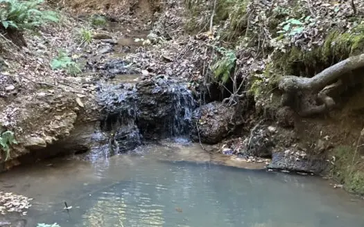 East Texas Hunting/Recreational Tract For Sale