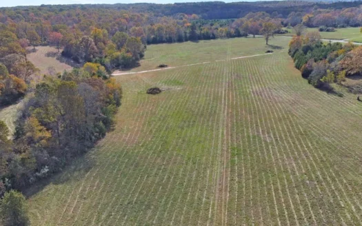 Vacant Land, Mixture of Valley Land & Woods in West Plains