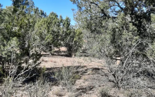 Great Northern AZ Off Grid property