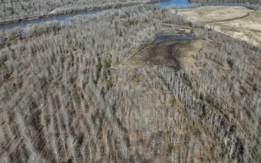 Duck and Deer Hunting Land with a Camp Spot for Sale