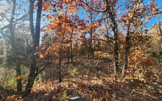 40 Acre Property For Sale in Newton County AR