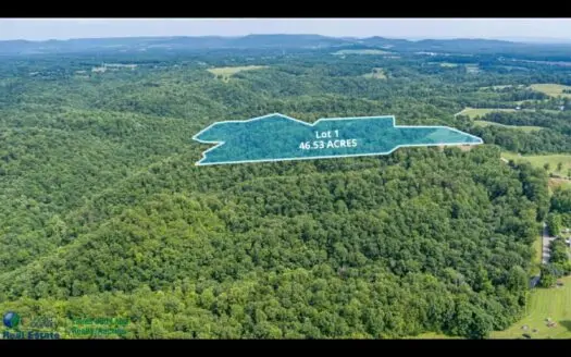 Discover Your Own Slice of Paradise!