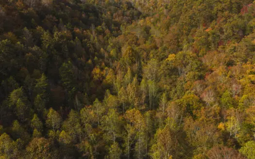 15 Acres of Hunting Land in Hancock County Tennessee For Sale