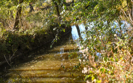 Land For Sale Barton County Mo