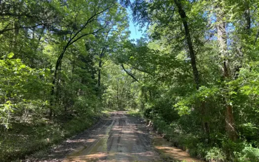 Mountain Land for Sale in Southeastern Oklahoma