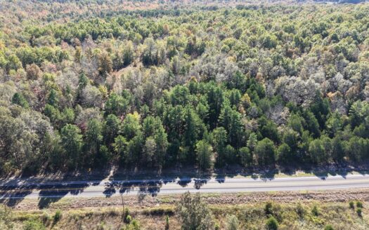 Hunting Land For Sale In North Central Arkansas