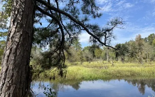 Deer/Duck Hunting Timberland for sale in Union County, Arkansas