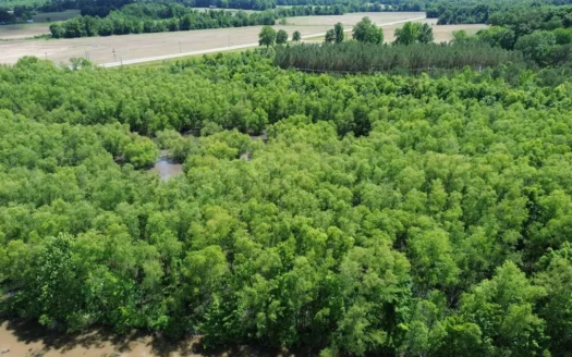 Land For Sale In Tn, 17 Acres, Wooded, Building Site, Crp