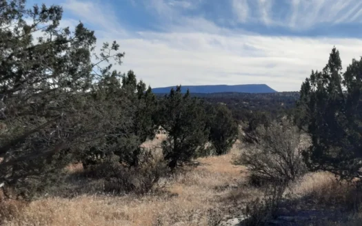 Great views on this off grid parcel