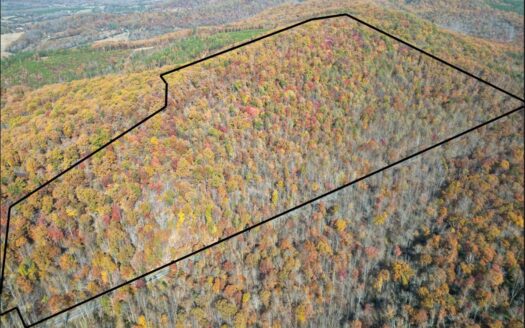 Mountain Views & Timber Investment on Historic Route 6