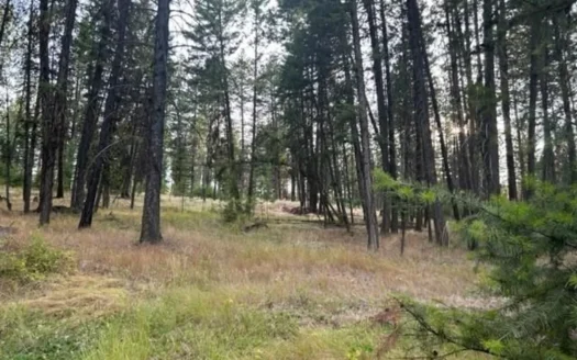 Montana Mountain 4 Ac Building Parcel For Sale
