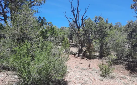 Remote Northern AZ off grid parcel
