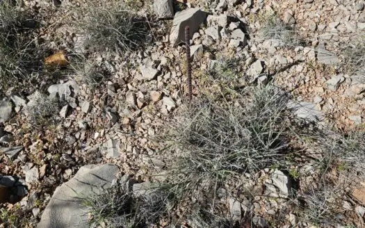 Quiet Street Backs Up to State Land Hunting Available