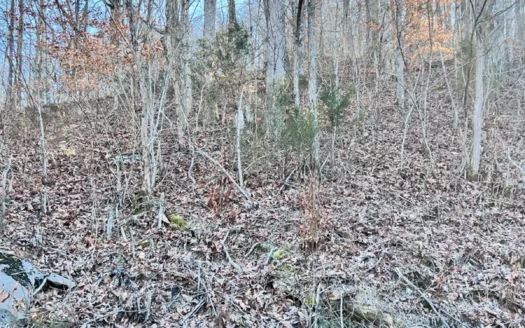 9.90 Unrestricted Acres in Claiborne County, Tennessee