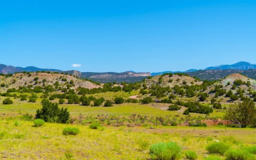 35 Acres Bordering Blm County Road  Minutes To Canon City Co