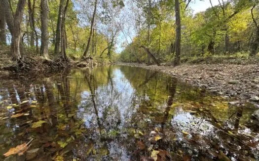 Gorgeous 70 Acre Polk County MO Hunting Tract