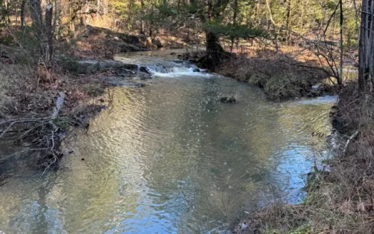 Land For Sale In North Central Arkansas