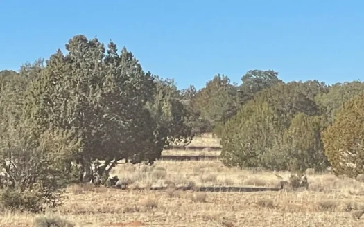 10 Acres Off-Grid Northern Arizona Close to Maintained Road