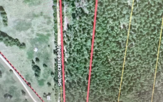Ranches At Lone Star Ridge Lot 177, Lovelady, Texas 75851